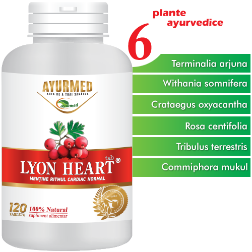 Lyon Heart