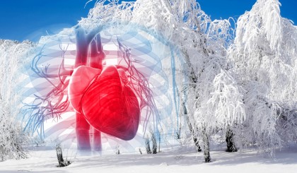 sist cardiovascular iarna